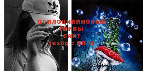 прущий лед Арсеньев